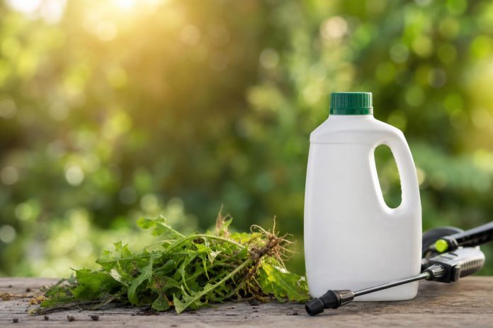 d-sherbant-total-au-glyphosate-tout-savoir-pour-liminer-les-mauvaises-herbes